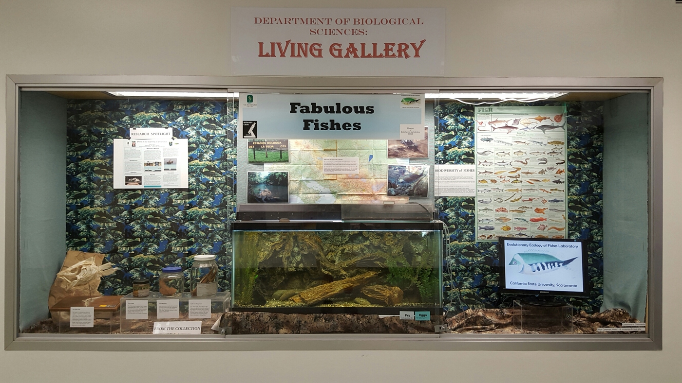 CSUS Biological Sciences Living Gallery Sacramento State